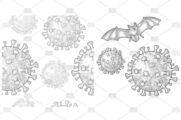 Download Coronavirus Bacteria Cell Bat Engraving - Corona Collection